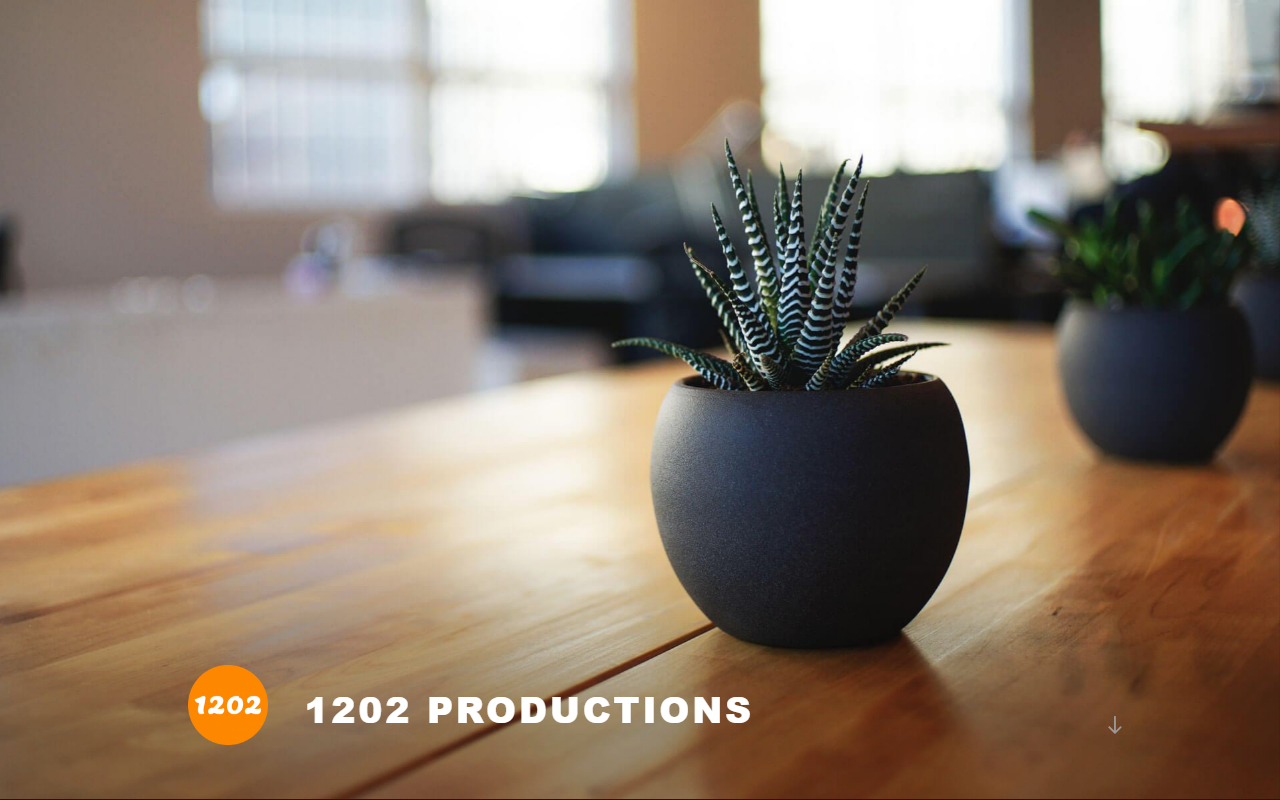 1202productions.com screenshot