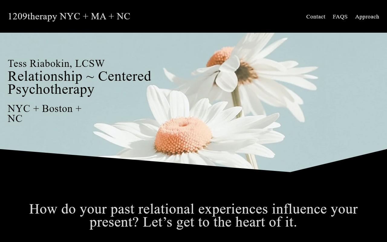 1209therapy.com screenshot
