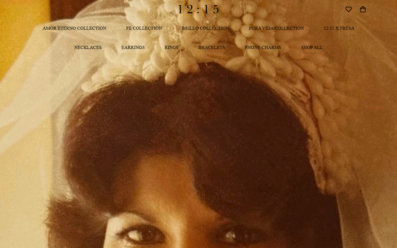 1215chicago.com screenshot