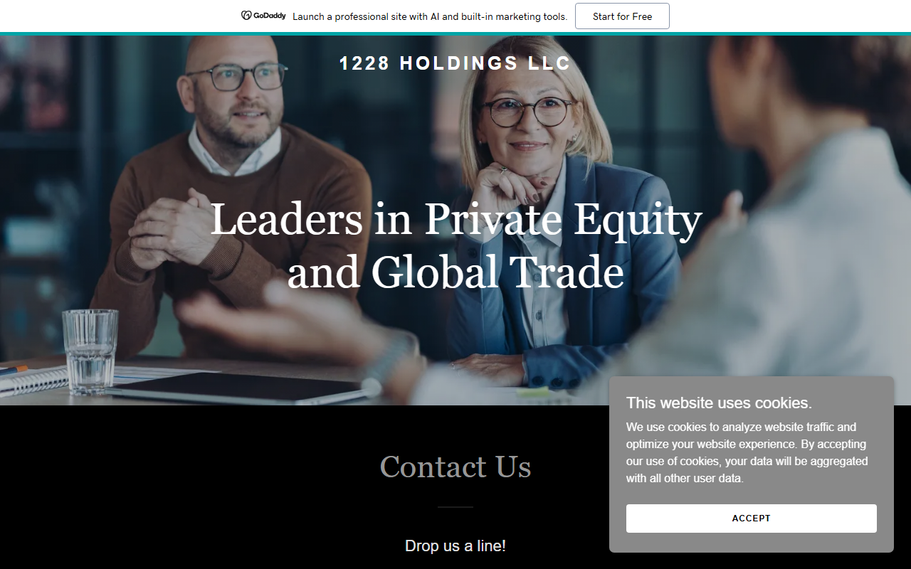 1228holdings.com screenshot