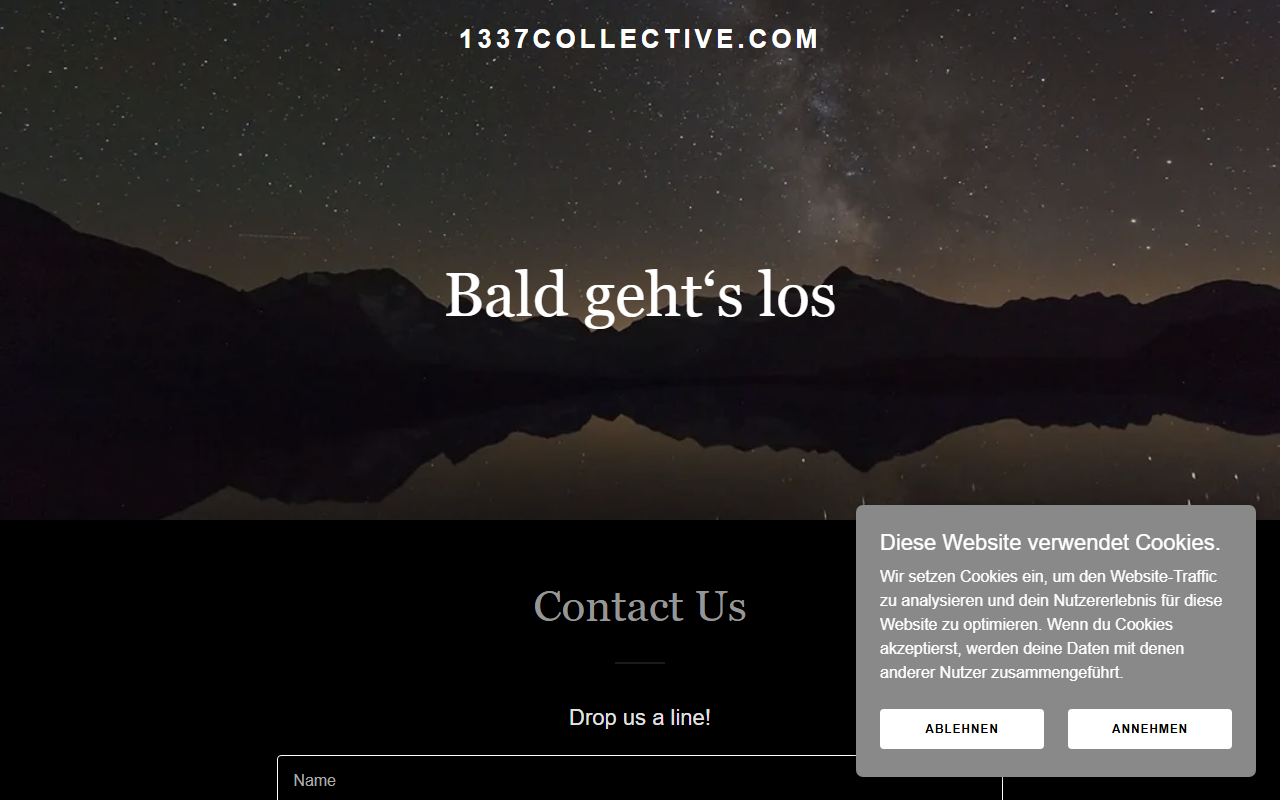1337collective.com screenshot