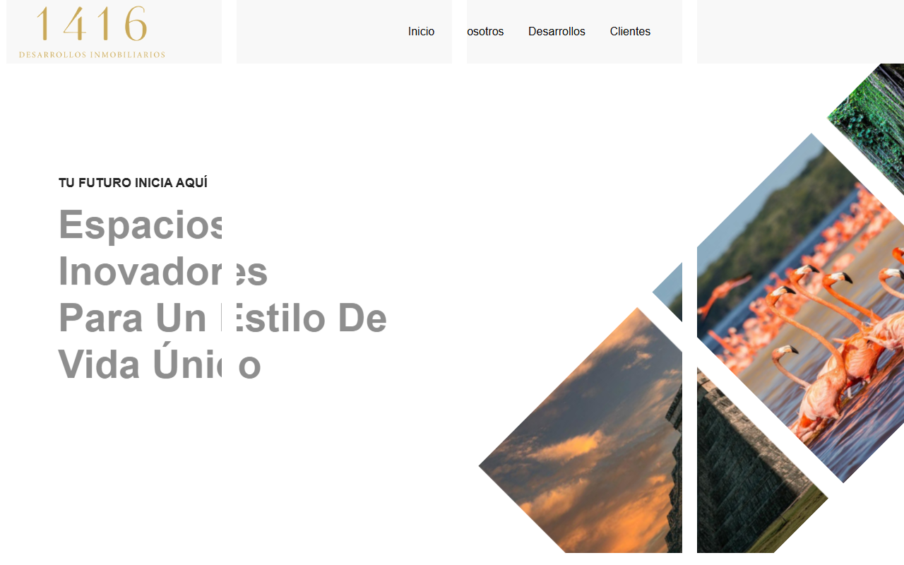 1416desarrollos.com screenshot