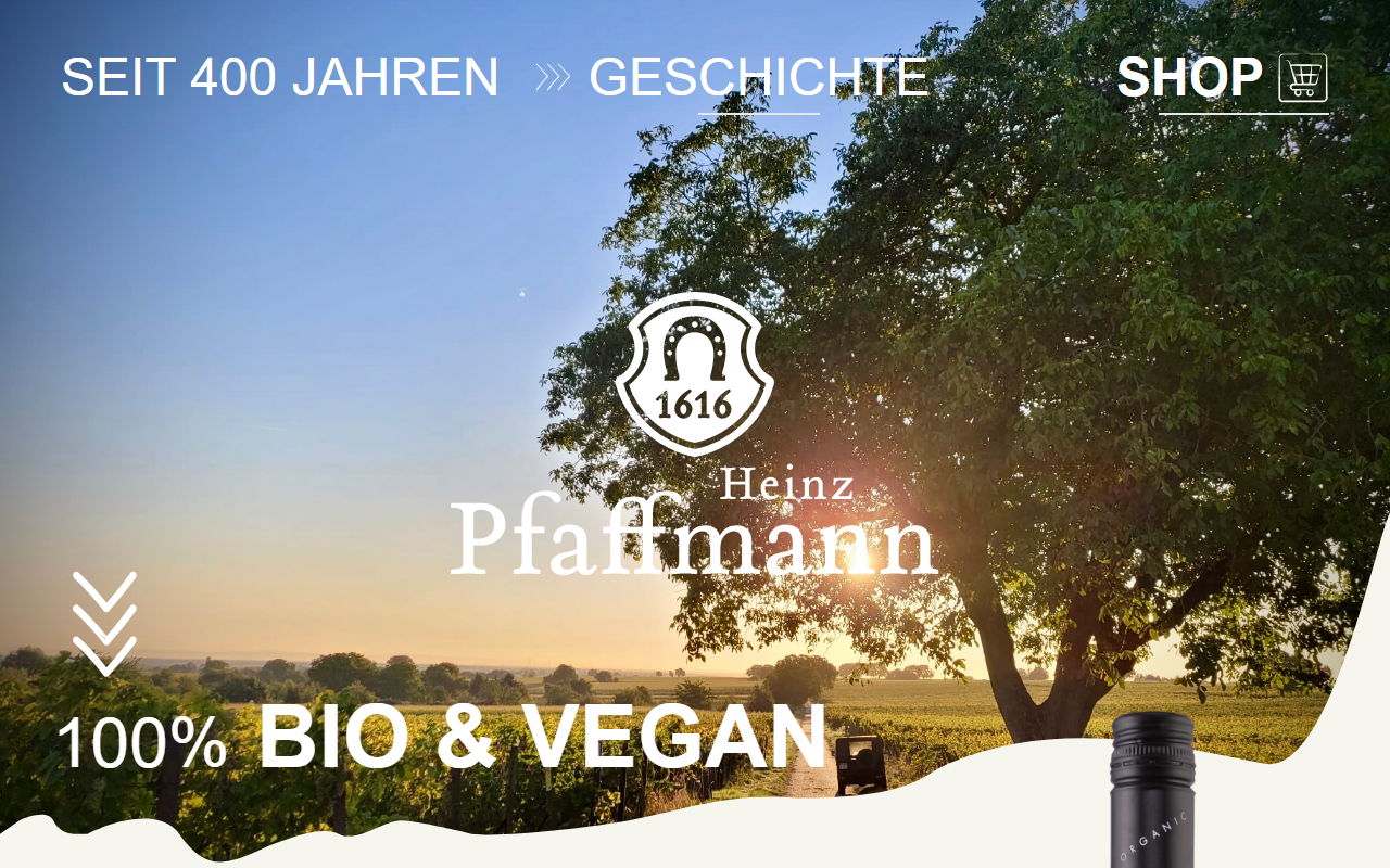 1616pfaffmann.com screenshot