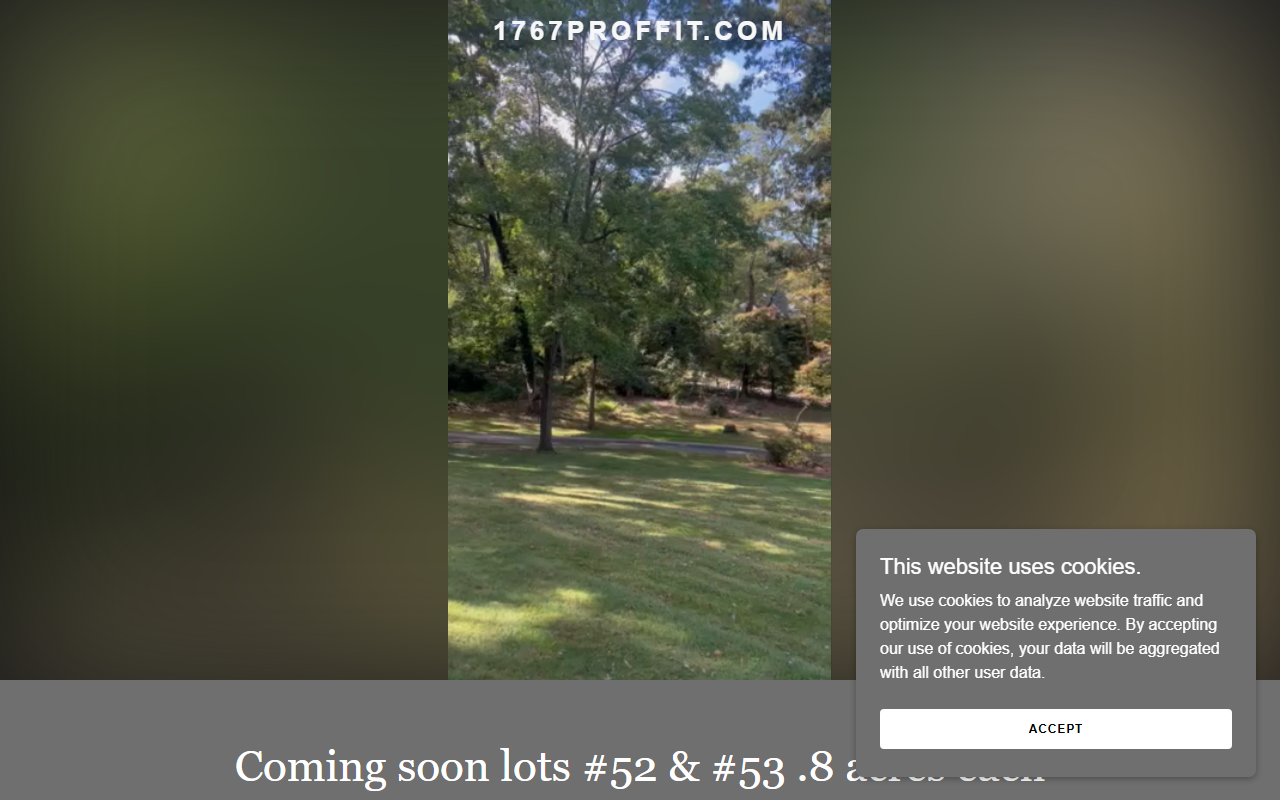1767proffit.com screenshot