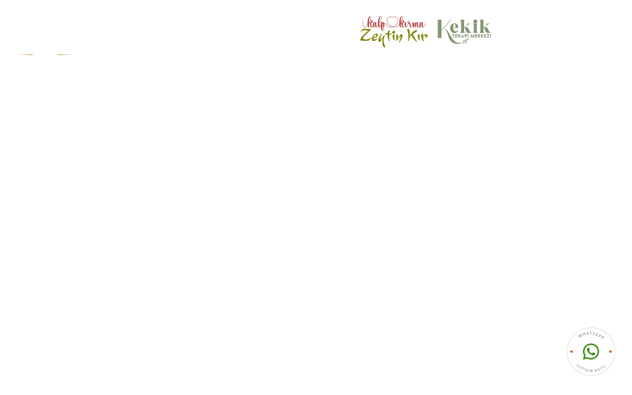 1774kazdagi.com screenshot