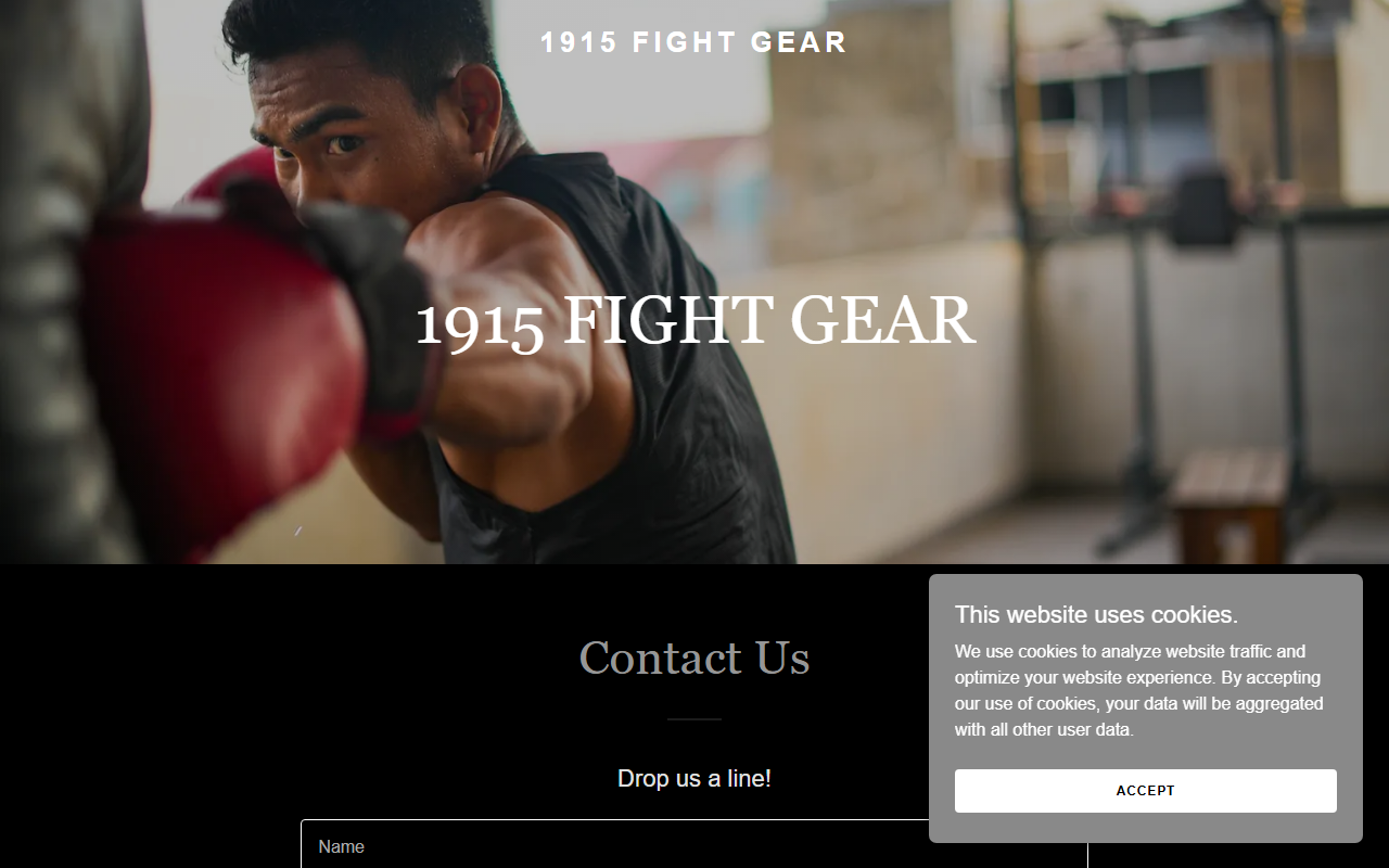 1915fightgear.com screenshot
