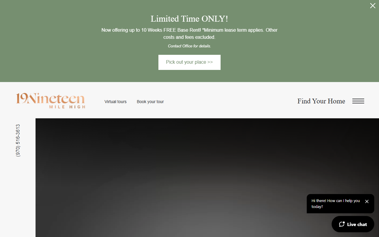 1919apartments.com screenshot