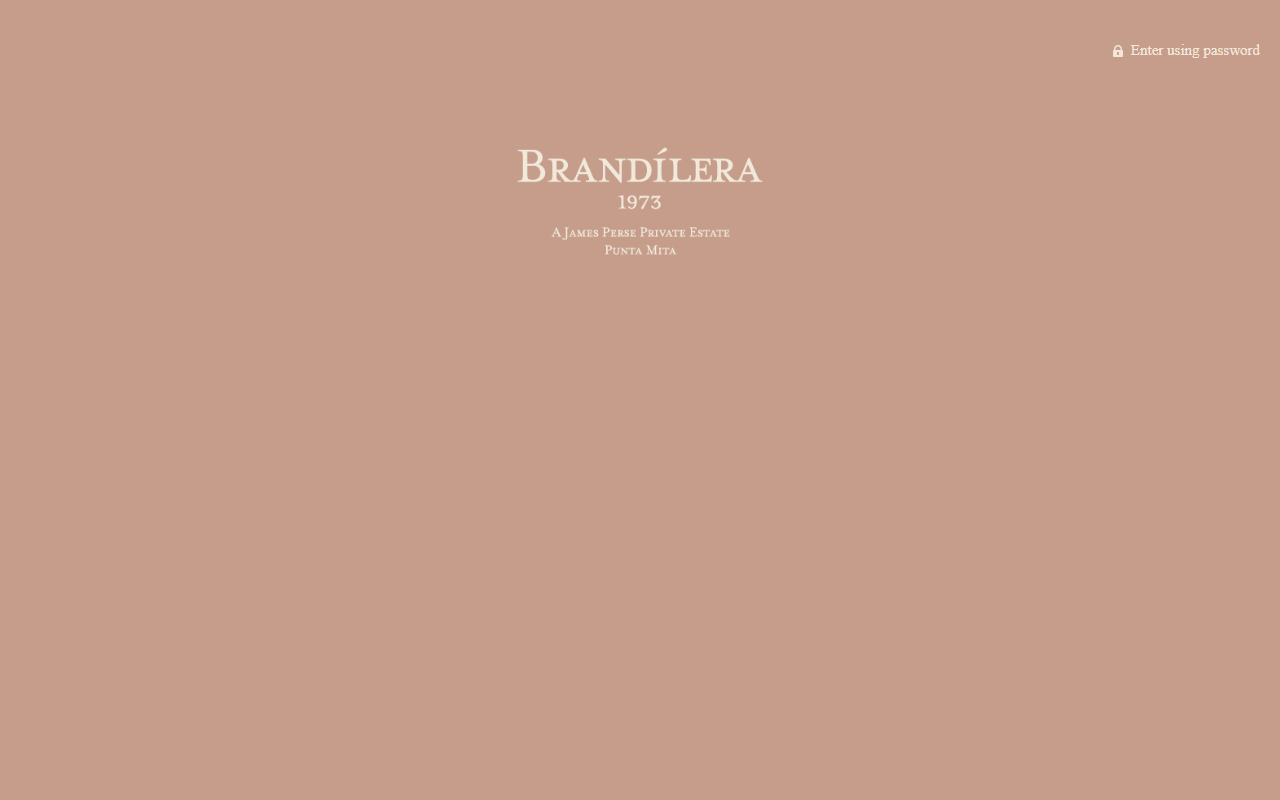 1973brandilera.com screenshot