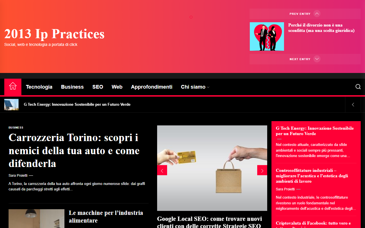 2013ippractices.com screenshot