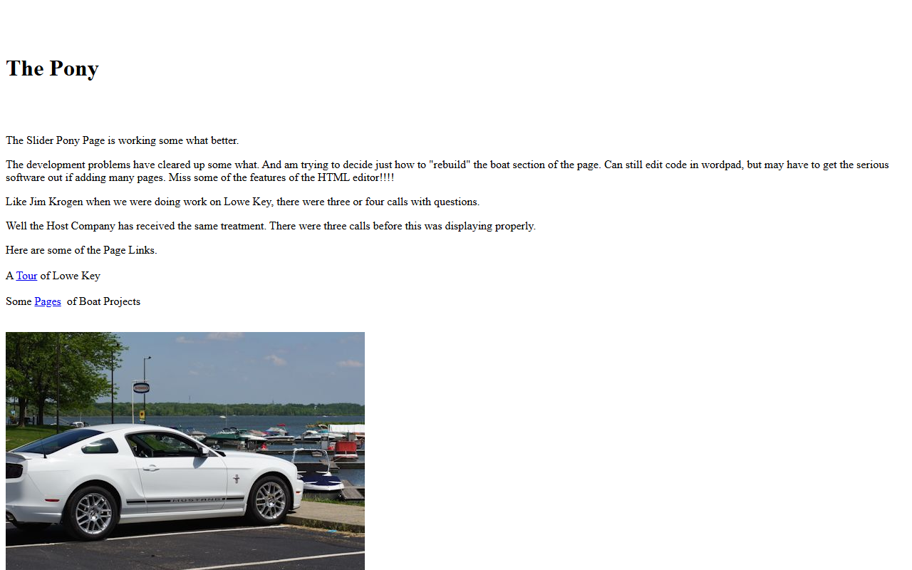 2014whitemustang.com screenshot