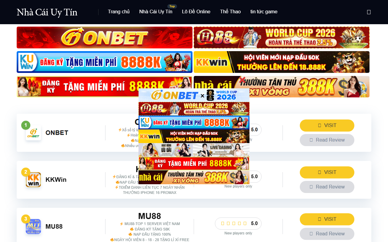 201customs.com screenshot