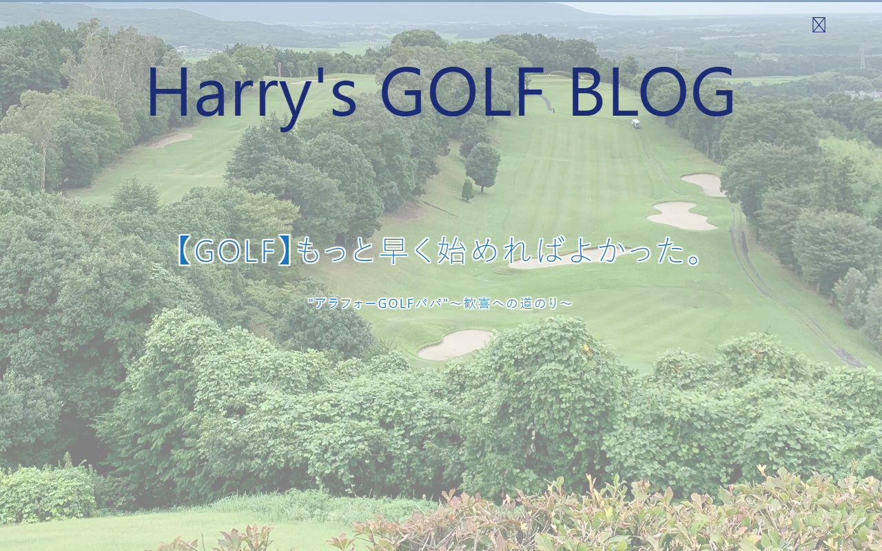 202301harry.com screenshot