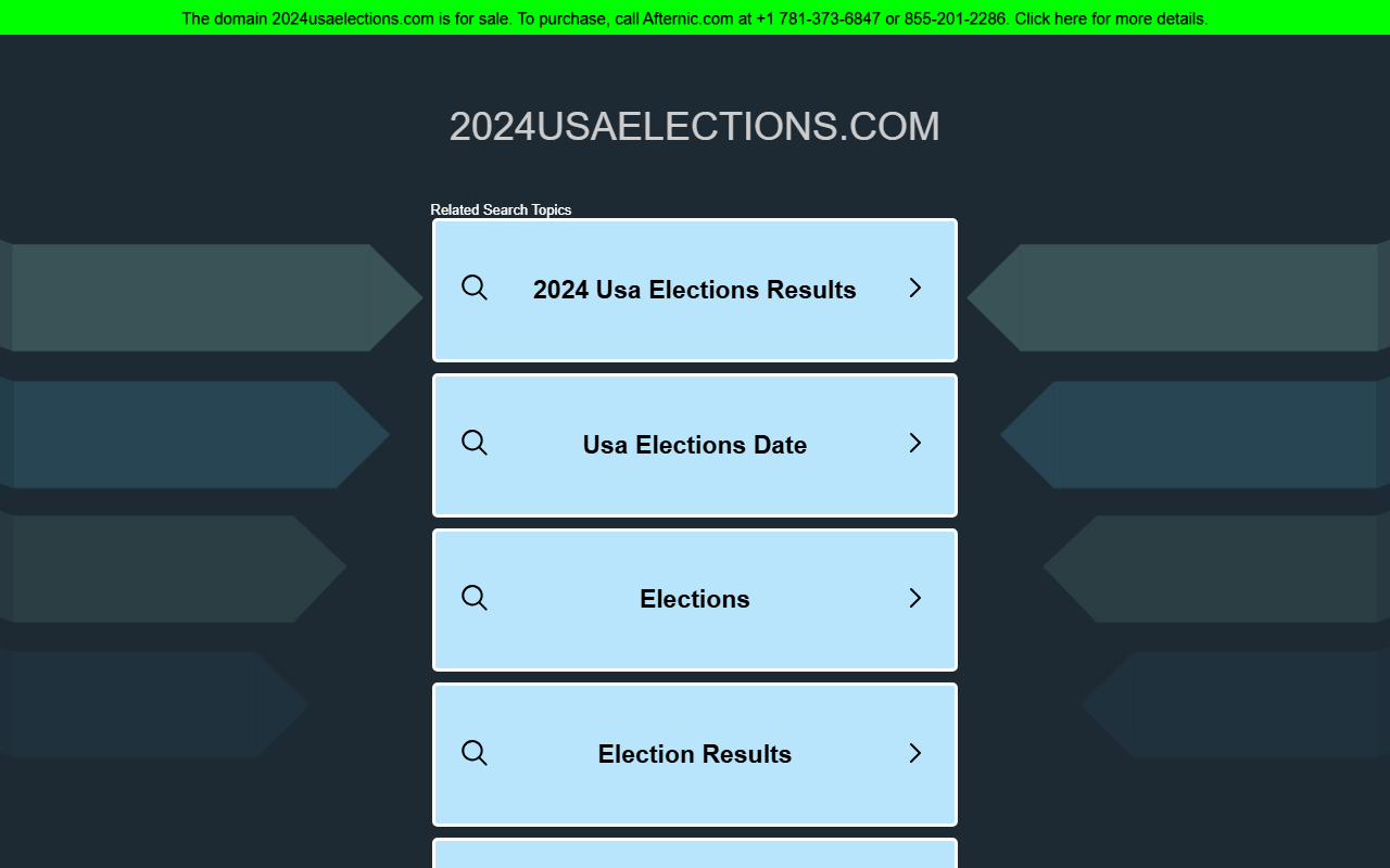2024usaelections.com screenshot