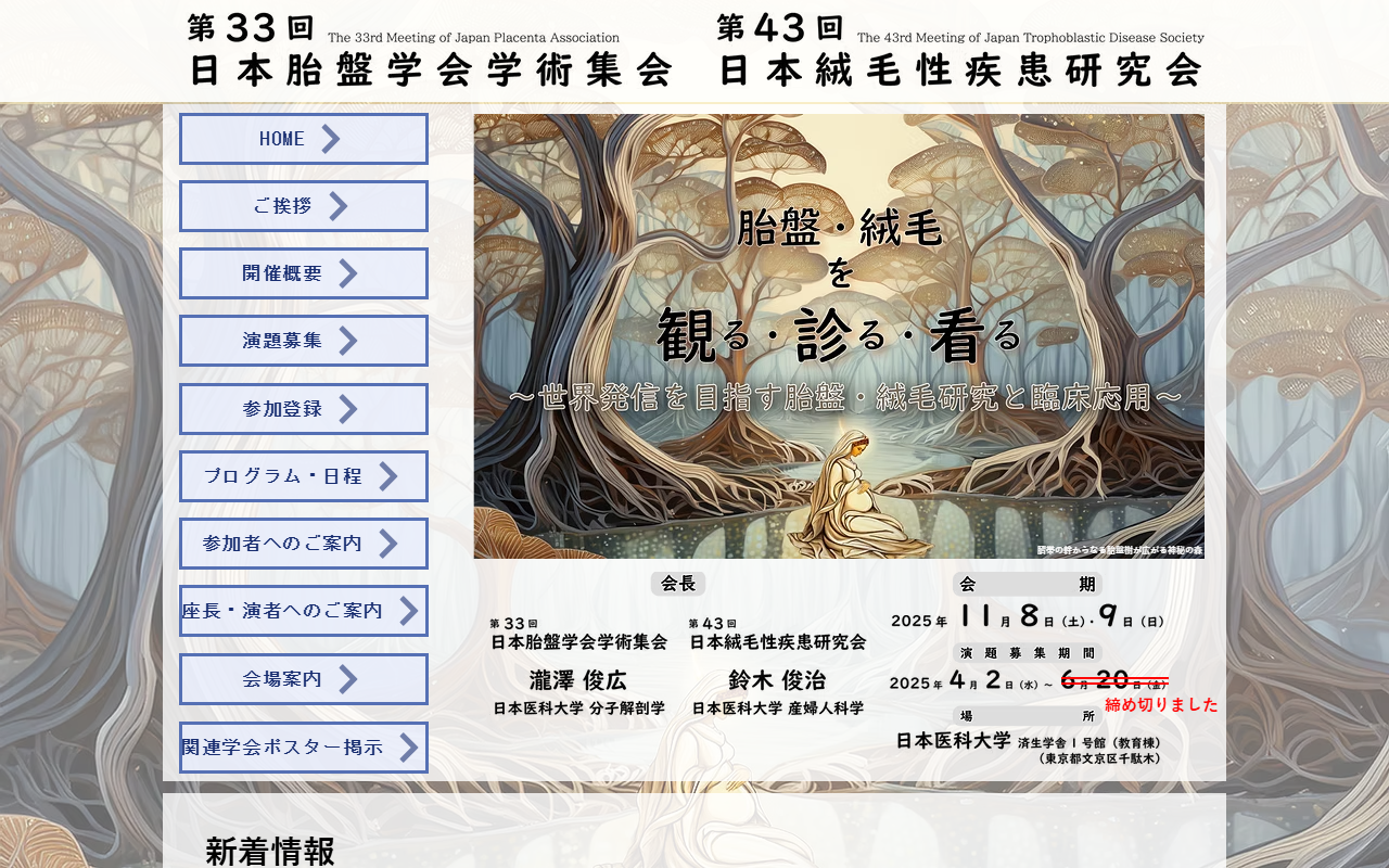 2025jpa-jtds.com screenshot