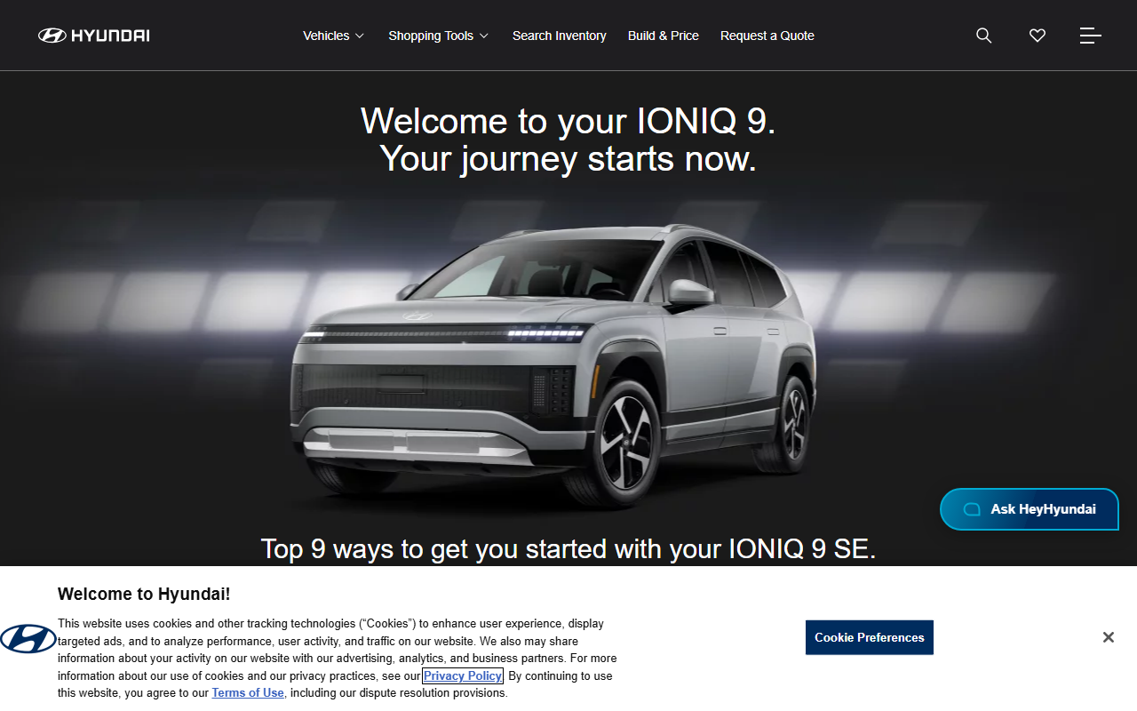 2026ioniq9se.com screenshot