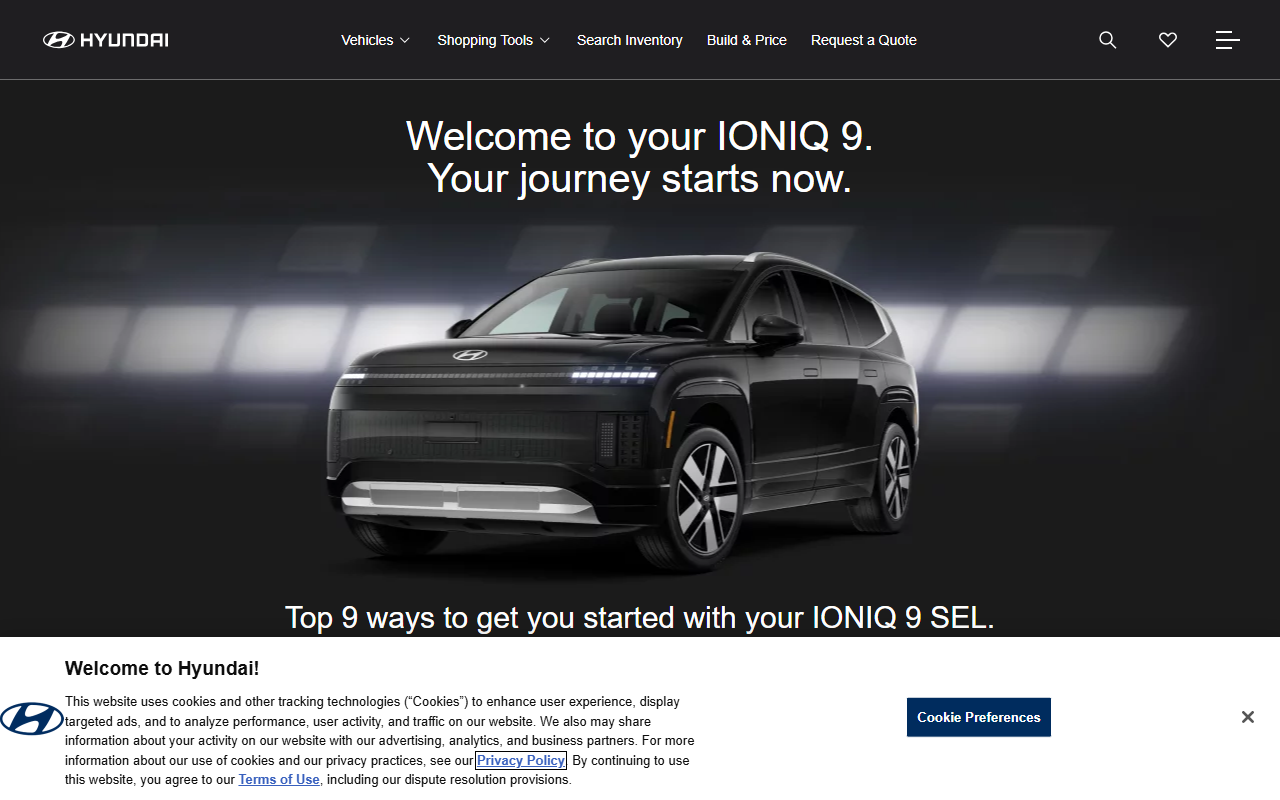 2026ioniq9sel.com screenshot