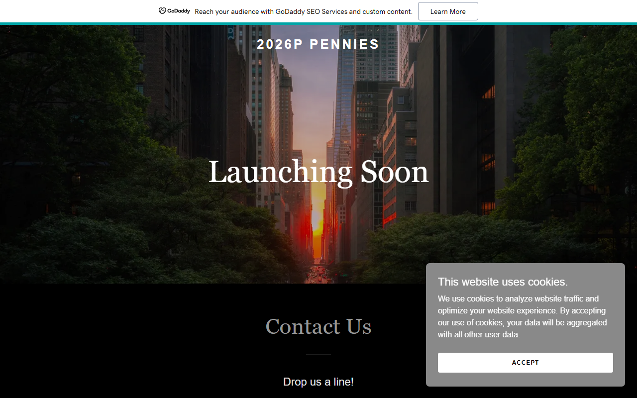 2026pennies.com screenshot