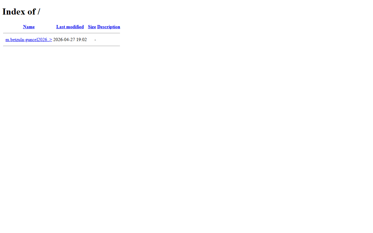 2026sonbahis.com screenshot