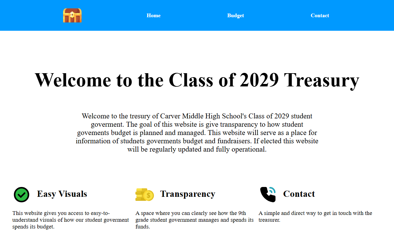 2029cmhstreasury.com screenshot