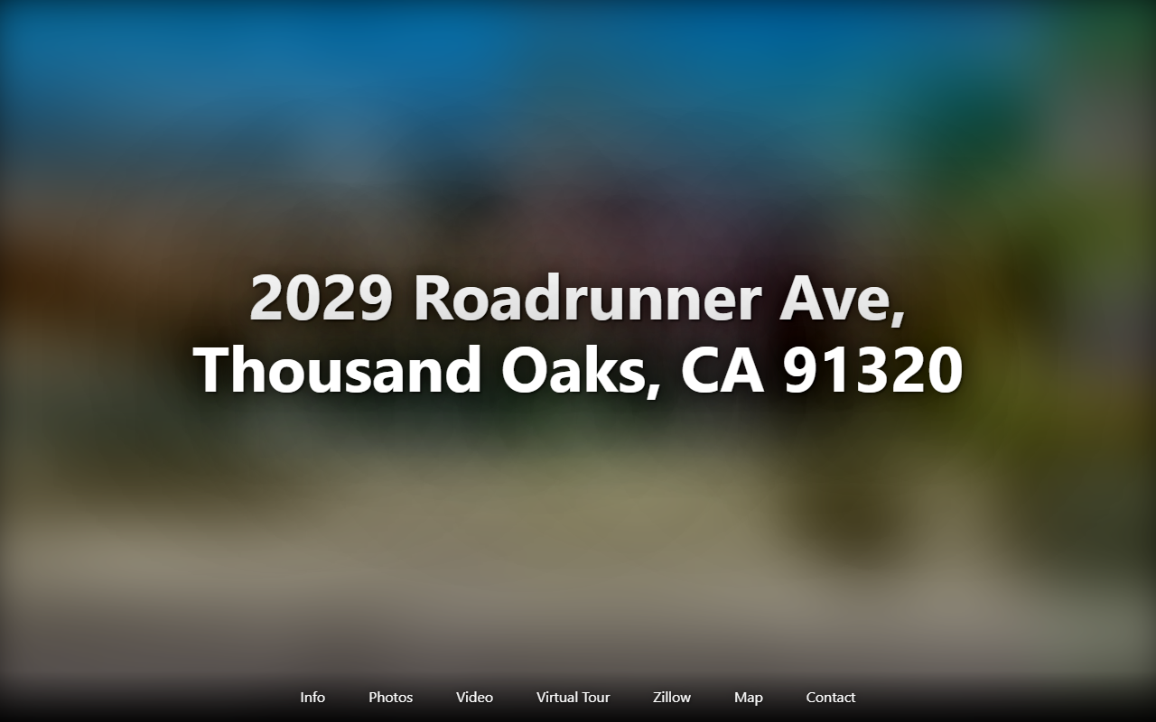 2029roadrunner.com screenshot