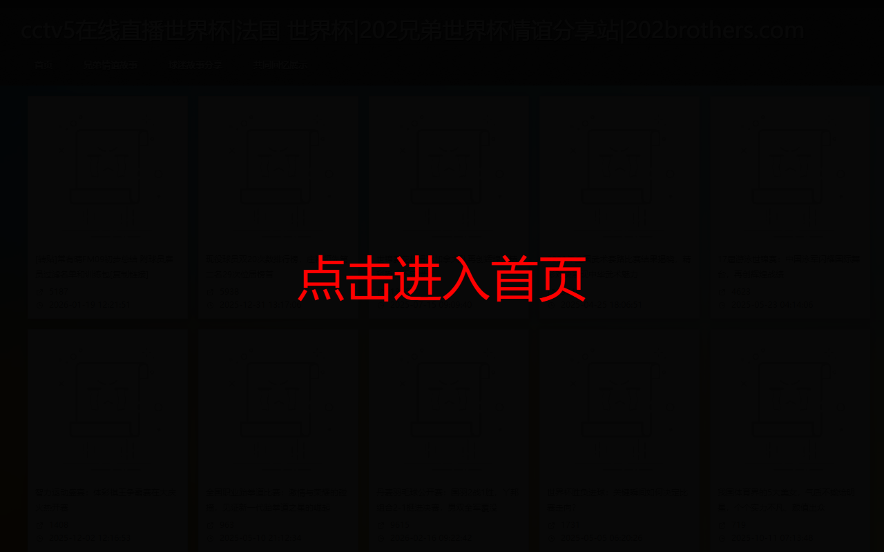 202brothers.com screenshot
