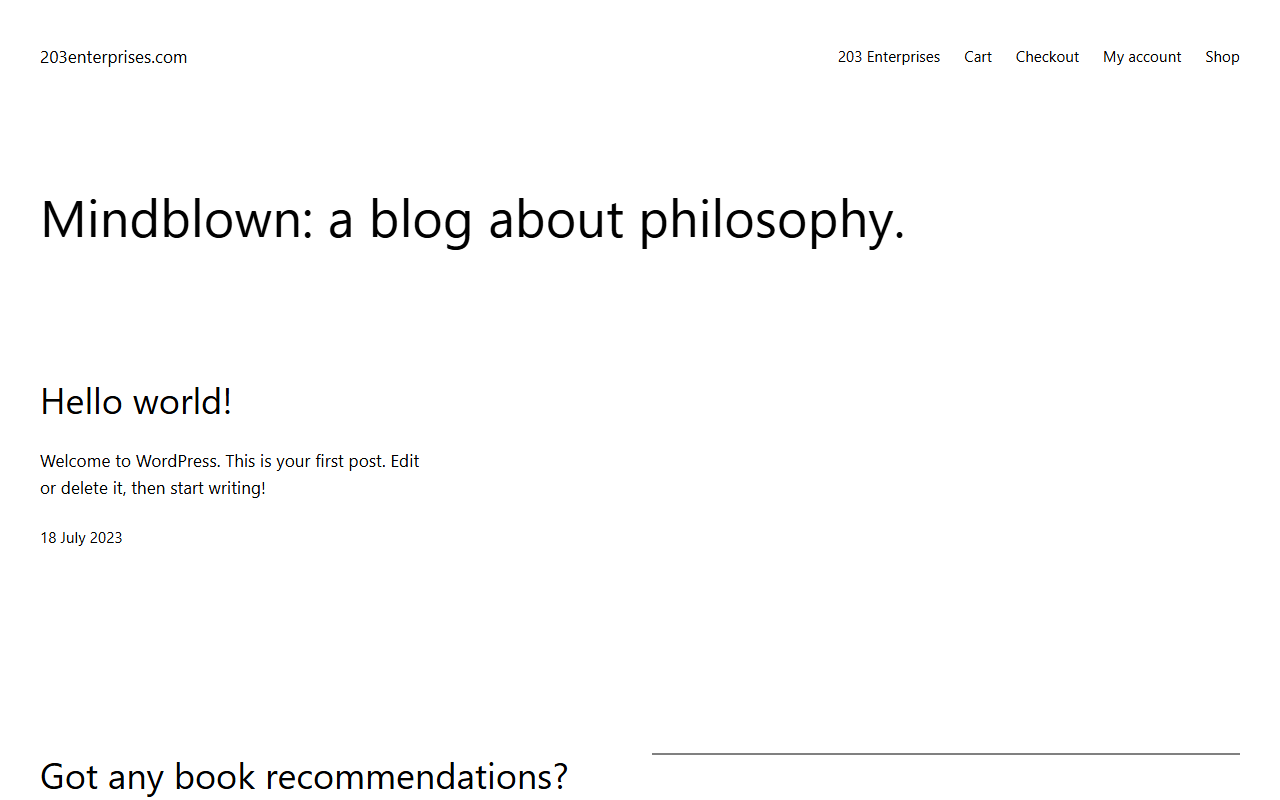 203enterprises.com screenshot