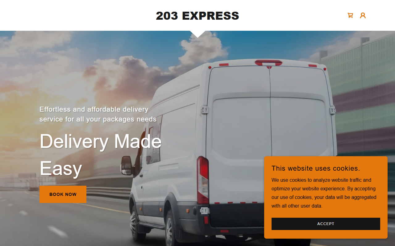 203express.com screenshot