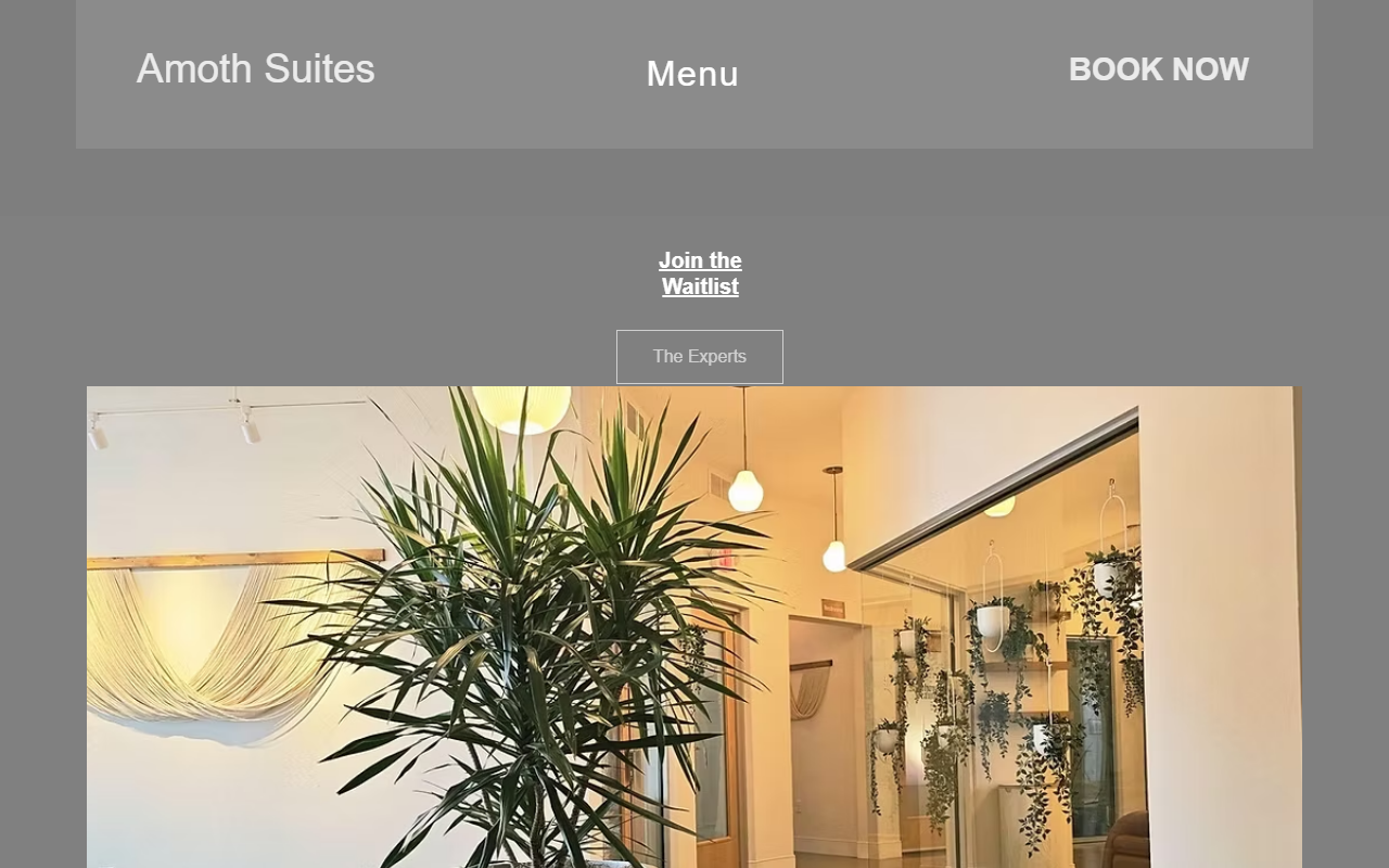 2045salonsuites.com screenshot