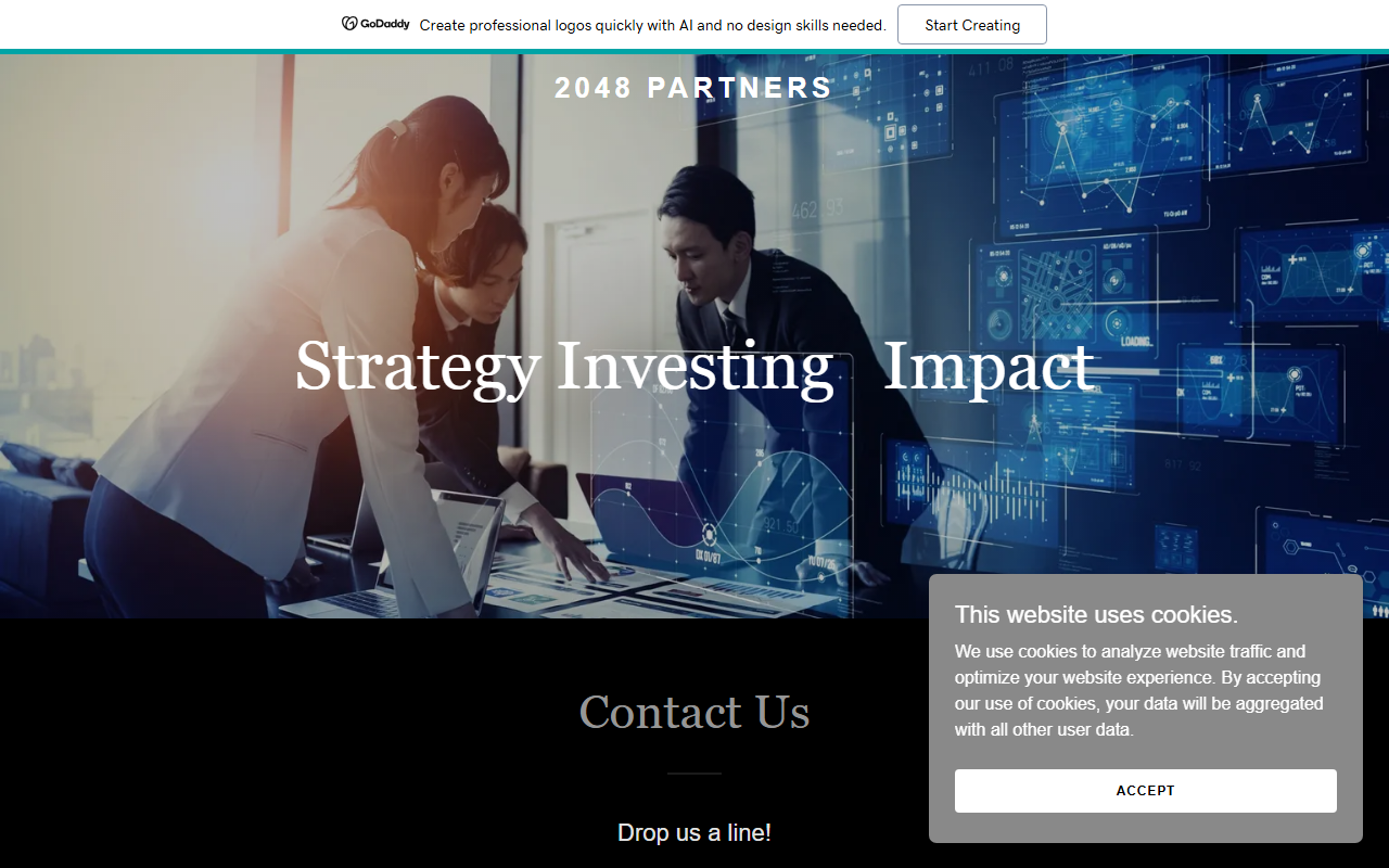 2048partners.com screenshot
