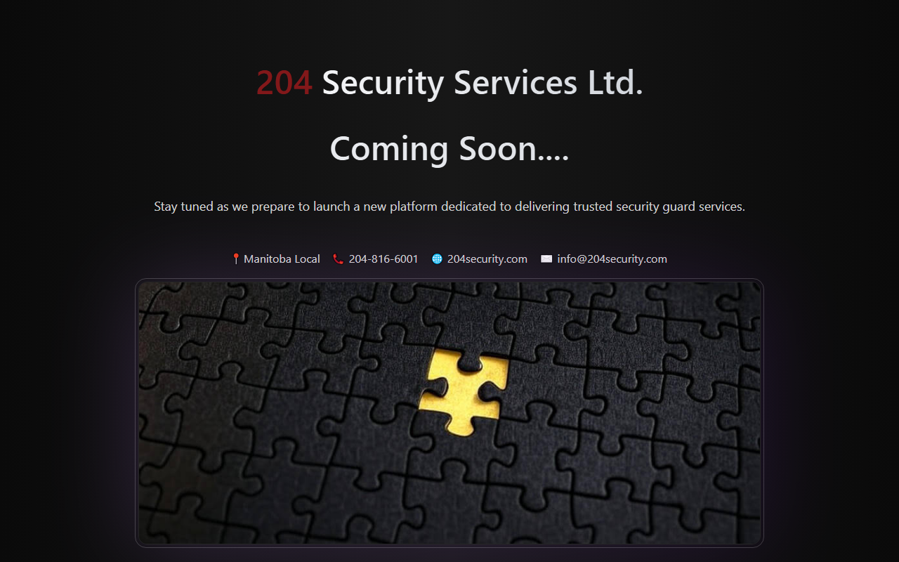 204security.com screenshot