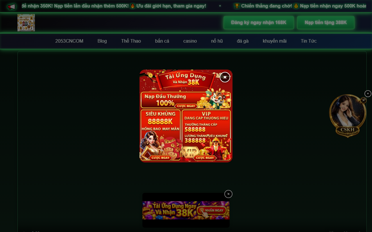 2053cn2053.com screenshot