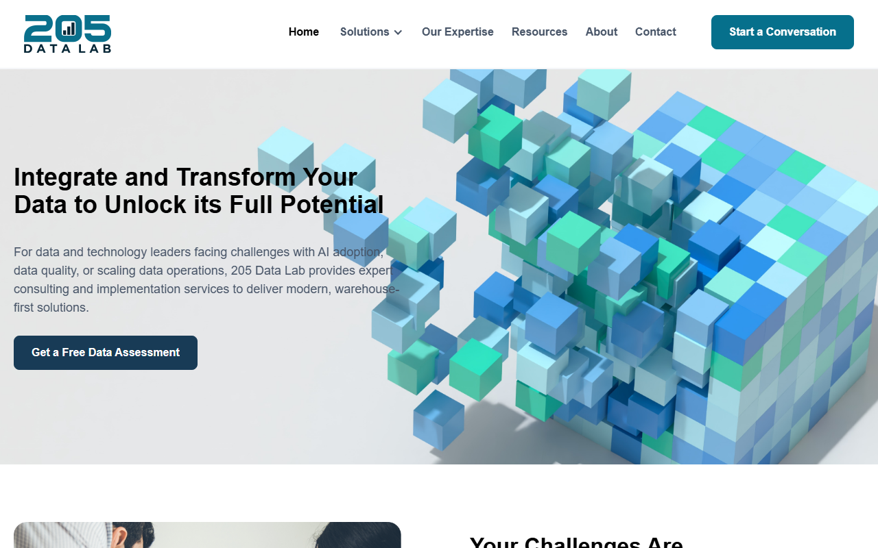 205datalabgroup.com screenshot
