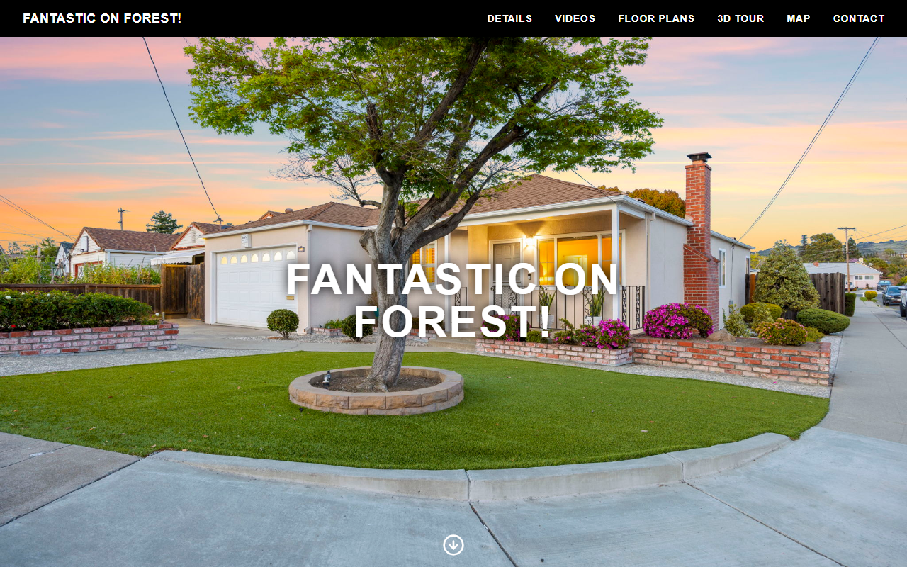 20674forest.com screenshot
