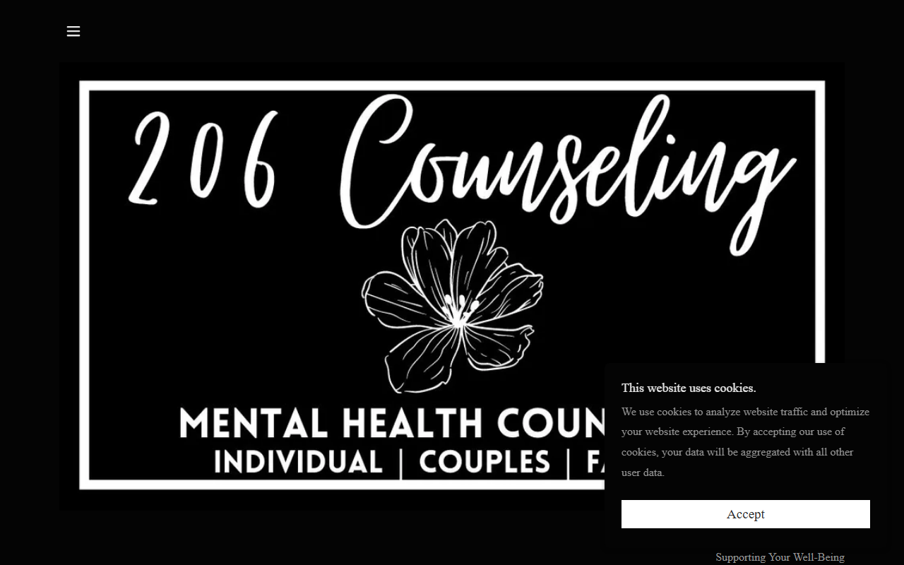 206counseling.com screenshot