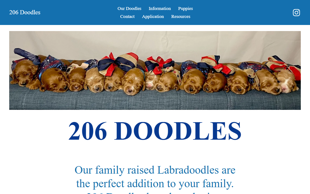 206doodles.com screenshot