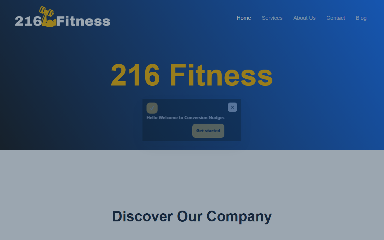 206fitness.com screenshot