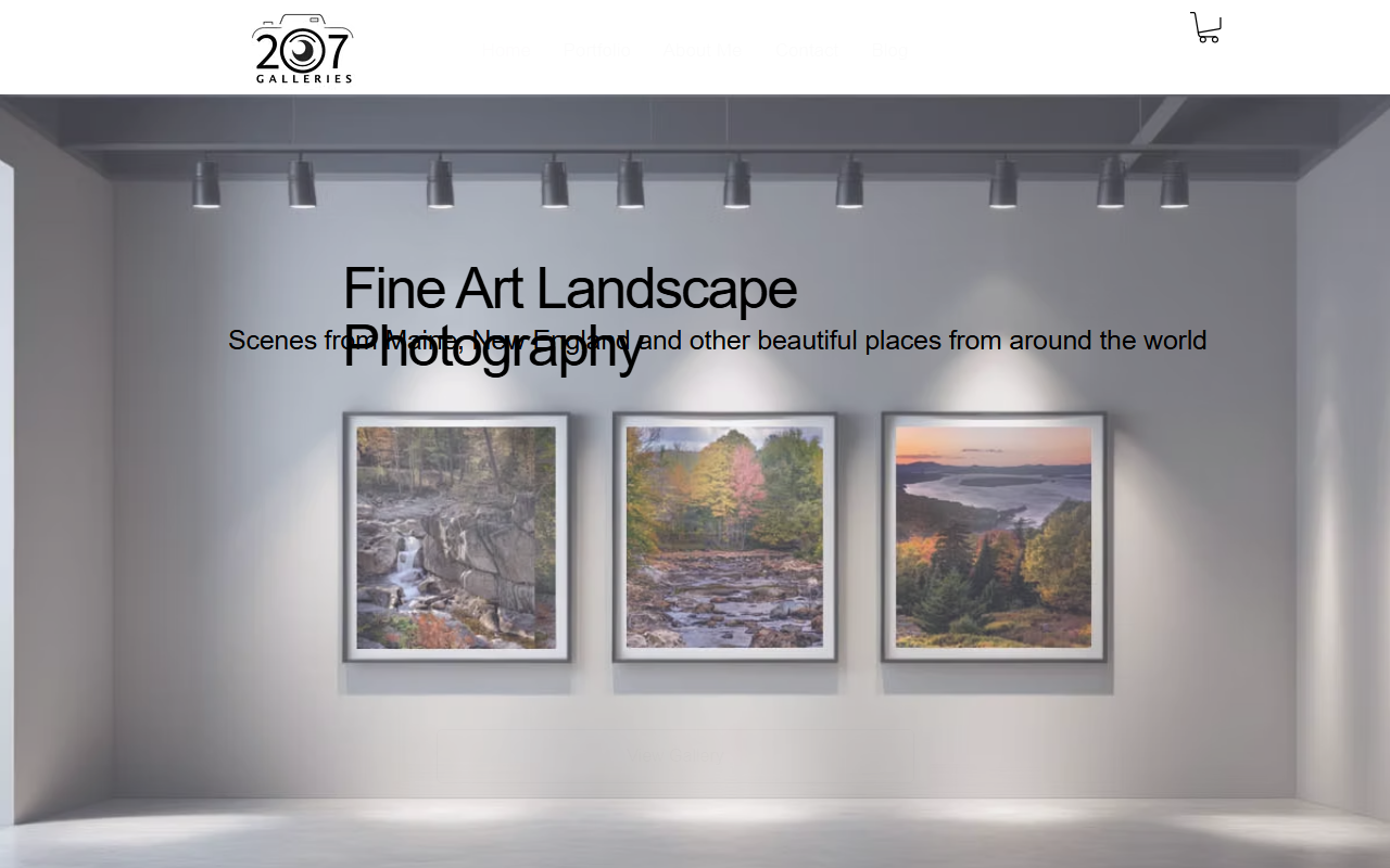 207galleries.com screenshot