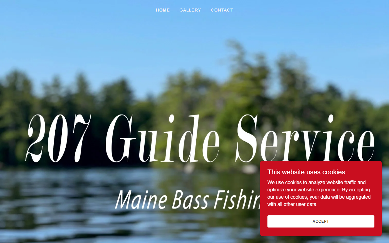 207guideservice.com screenshot