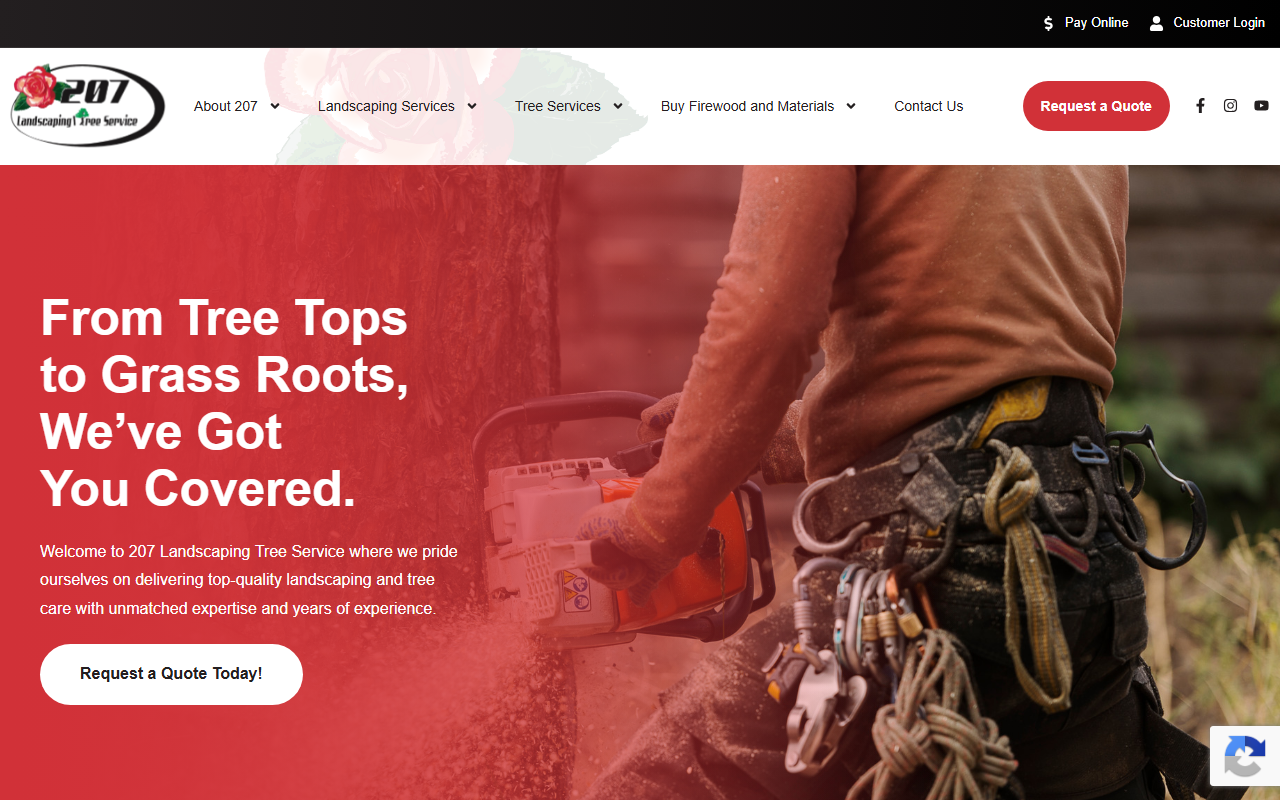 207landscaping.com screenshot