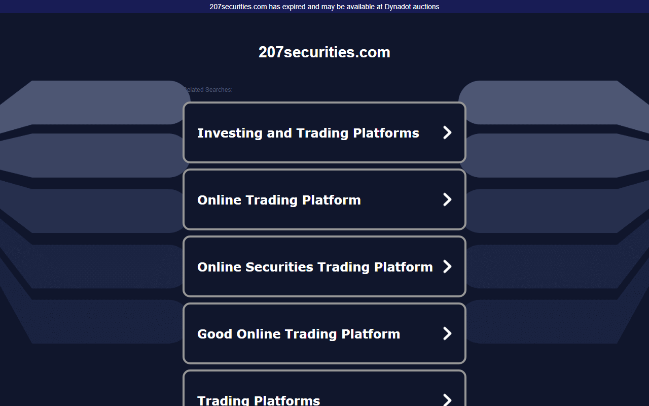 207securities.com screenshot