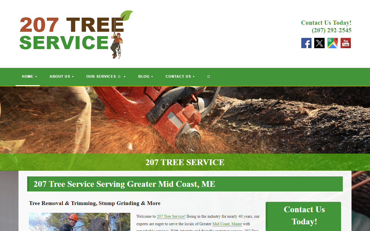207treeguy.com screenshot