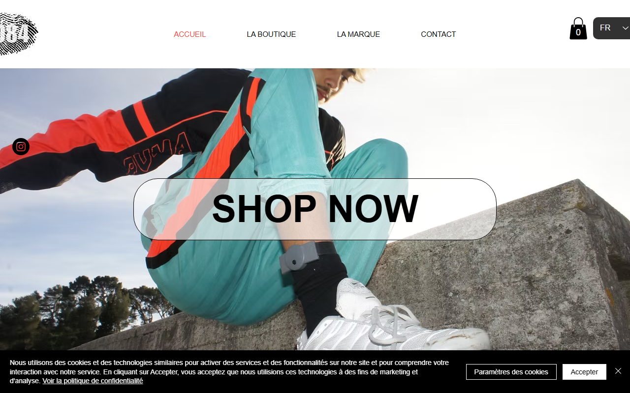 2084project.com screenshot