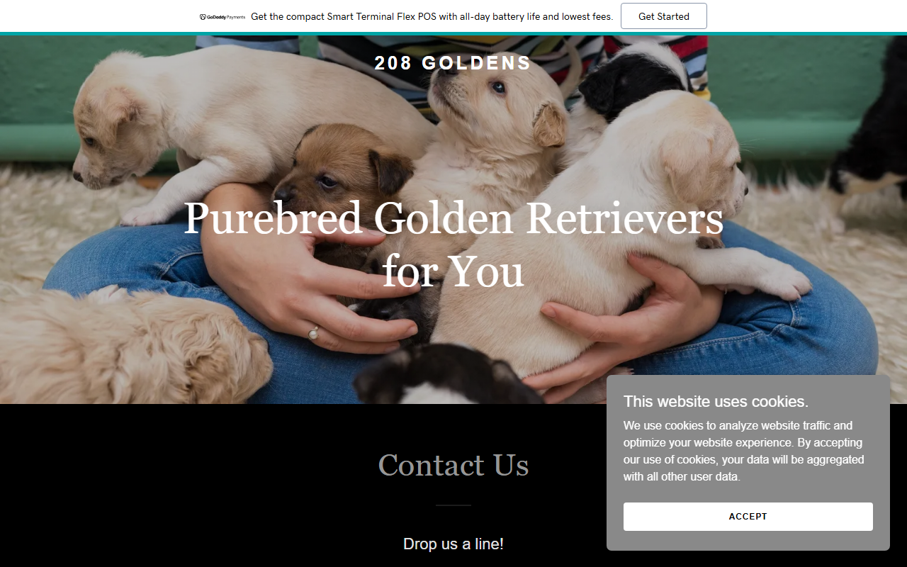 208goldens.com screenshot