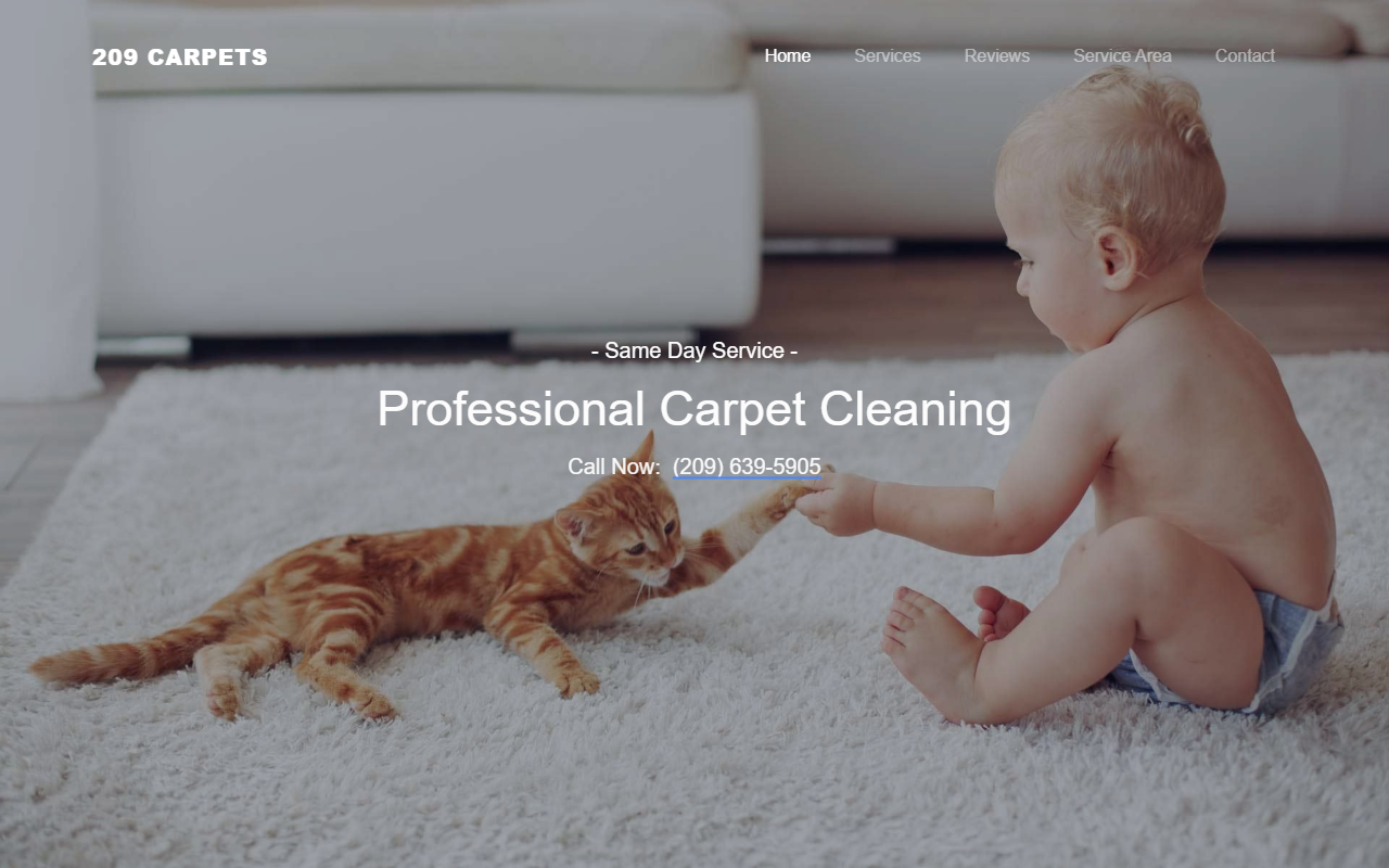209carpets.com screenshot