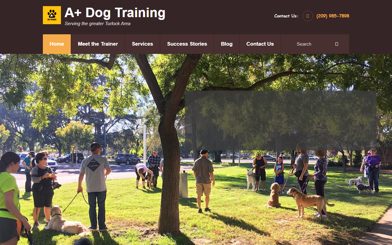 209dogtraining.com screenshot