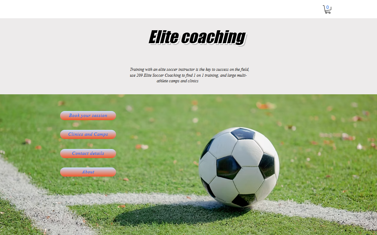 209elitecoaching.com screenshot