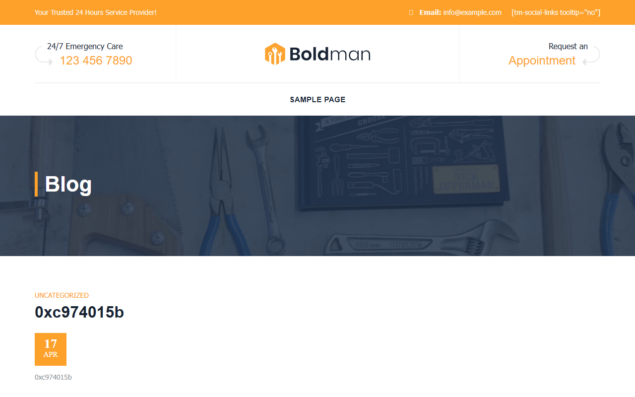 209localseo.com screenshot