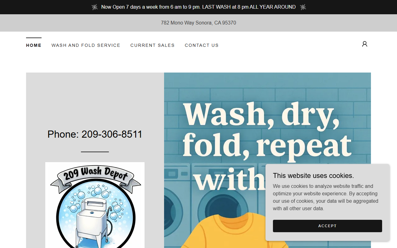 209washdepot.com screenshot