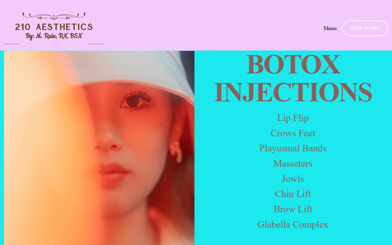 210aesthetics.com screenshot