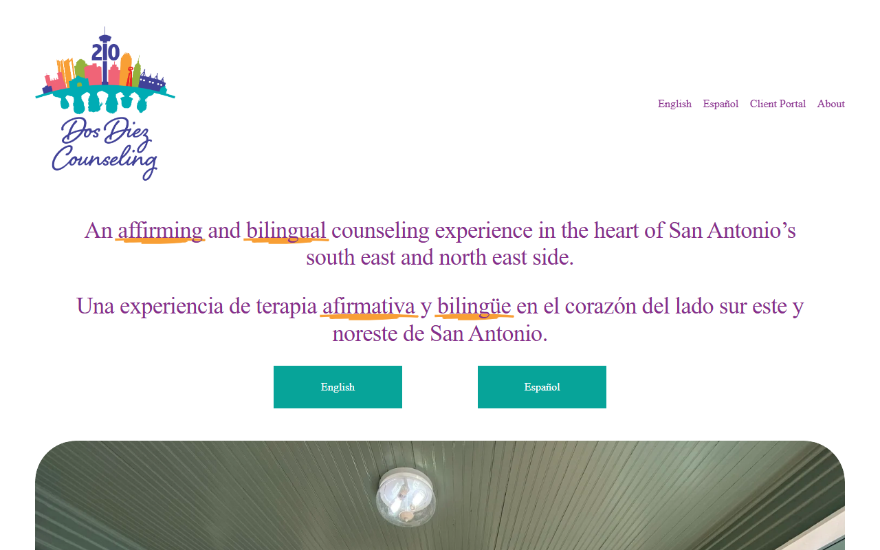 210counseling.com screenshot